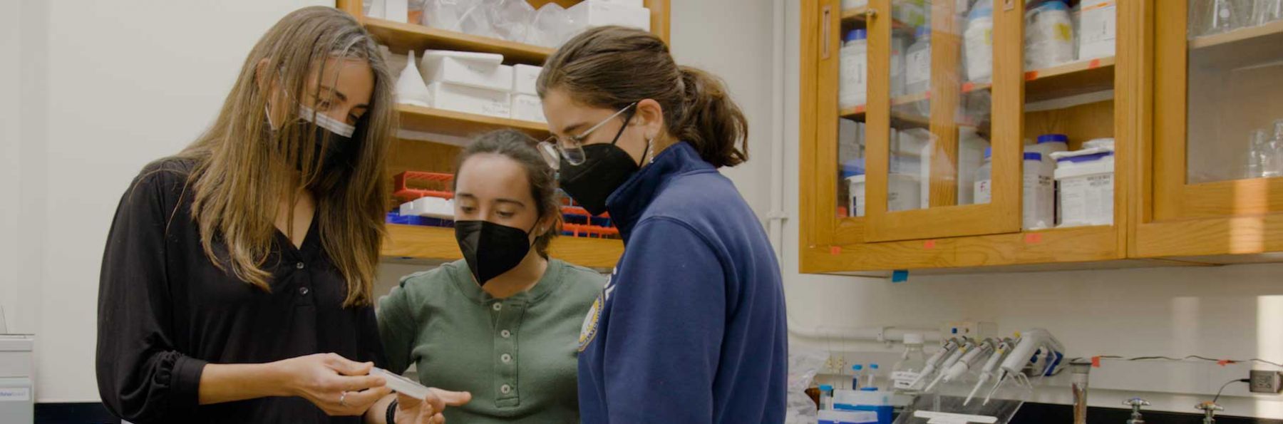 scientist and interns looking at petri dish