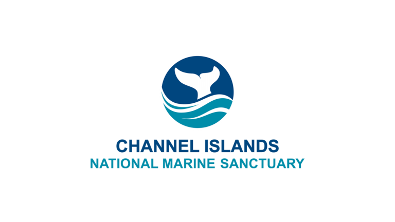 NOAA Logo