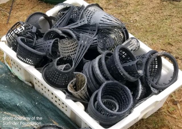 Broken and lost Hagfish traps, such as these collected by the Surfrider Foundation, accumulate as ocean trash in huge numbers and are a major threat to marine mammals.