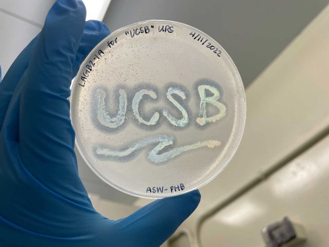 PHB-degrading bacteria isolated from the marine environment