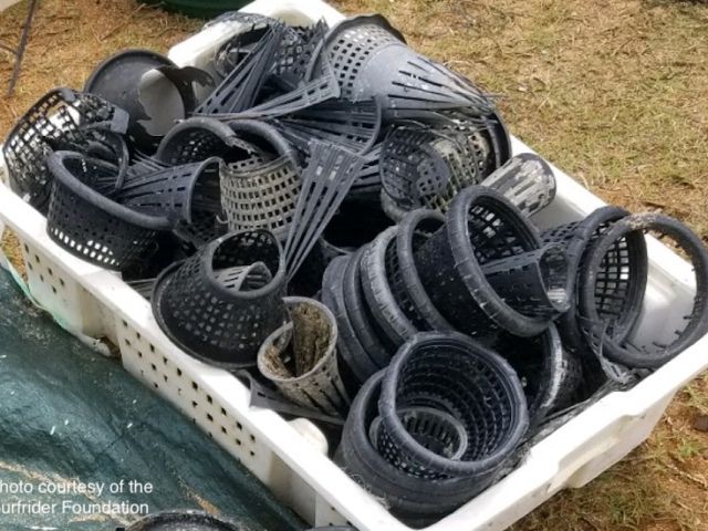 Trash Hagfish traps collected by the Surfrider Foundation
