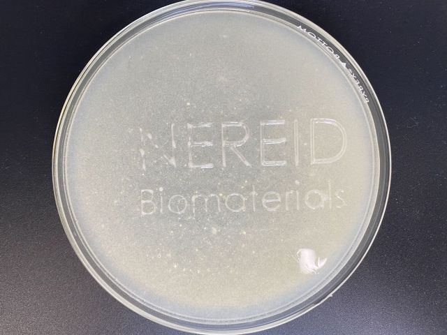 PHB-degrading bacteria isolated from the marine environment 3D printed in the words Nereid Biomaterials